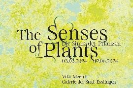The Senses of Plants / Die Sinne der Pflanzen