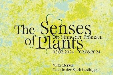 The Senses of Plants / Die Sinne der Pflanzen