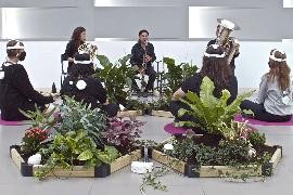 Mehrere Personen sitzen in einem Kreis mit Pflanzen