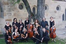 Das Kammerorchester posiert mit Instrumenten unter einem Baum